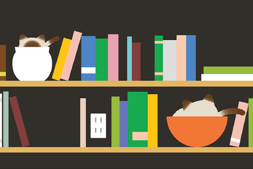 設計風格與特色 3