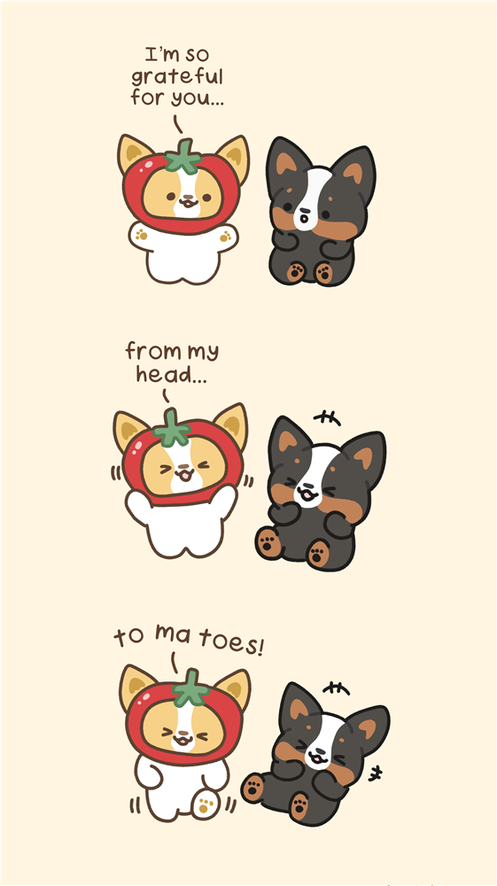 Corgiyolk and Corgi Bro