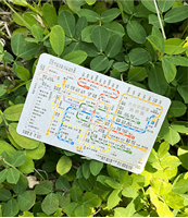 圖片 大台北捷運網路圖Supercard悠遊卡-灰