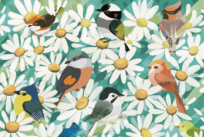 最新消息 Mio.tsubasa｜看見鳥，感受自然