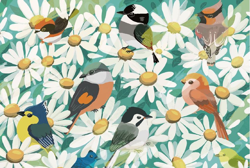 最新消息 Mio.tsubasa｜看見鳥，感受自然