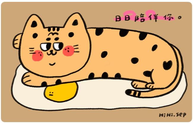 圖片 小田月所-虎斑貓貓