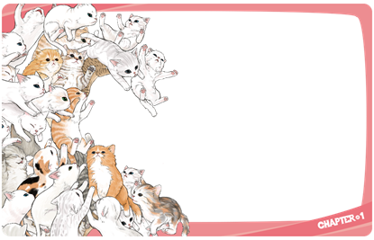 圖片 DemiDomi-喵喵大集合