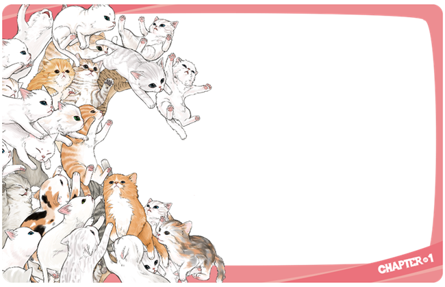 圖片 DemiDomi-喵喵大集合