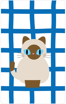 圖片 BAAN-MAEW-MAEW-白藍格文