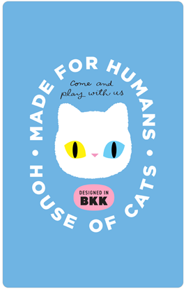 圖片 BAAN-MAEW-MAEW-白貓