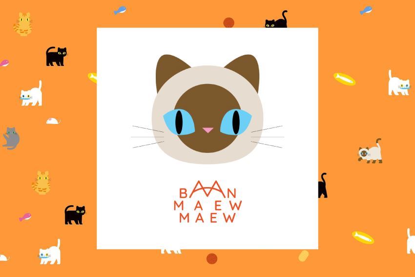 最新消息 BAAN MAEW MAEW｜把泰國貓咪的好運與陪伴帶進日常