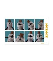 圖片 PUPPET SUNSUN Supercard悠遊卡-8連拍ZONZON